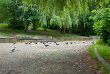 Парковая зона в районе Карасунского озера