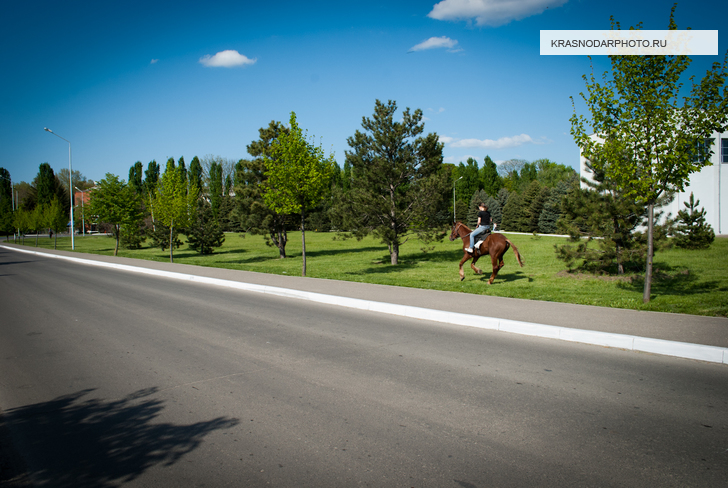 Территория Кубанского аграрного университета
