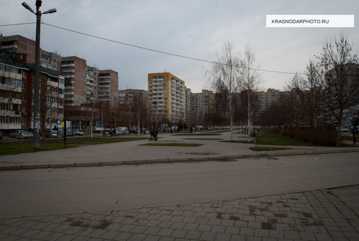 Бульвар Платановый зимним днем