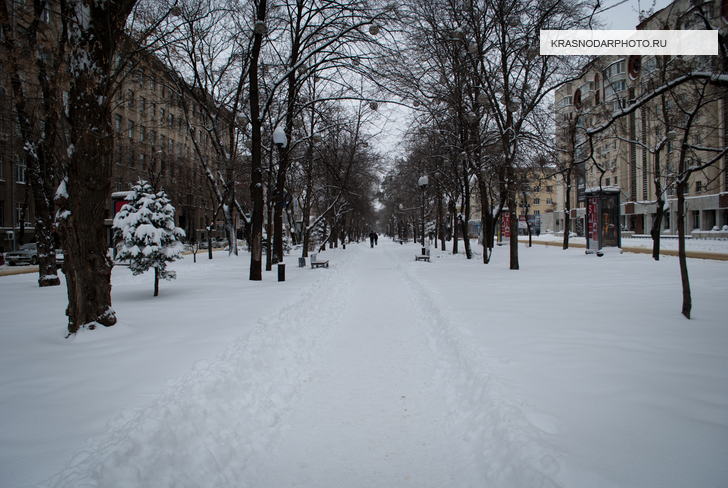 Заснеженная улица Красная зимним днем