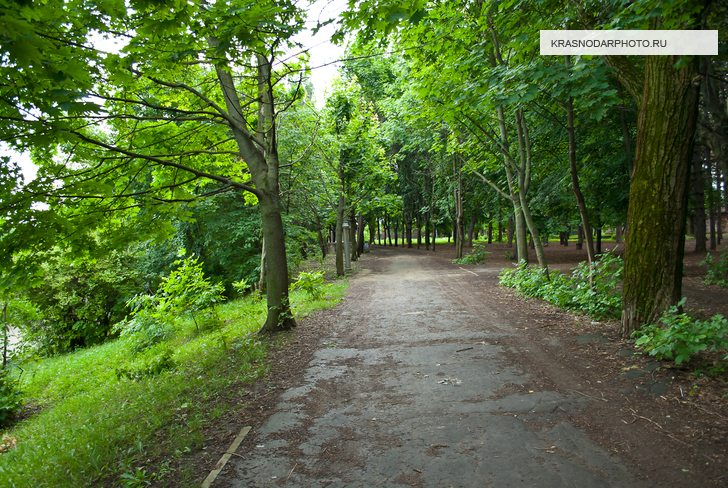 Парковая зона в районе стадиона "Кубань"
