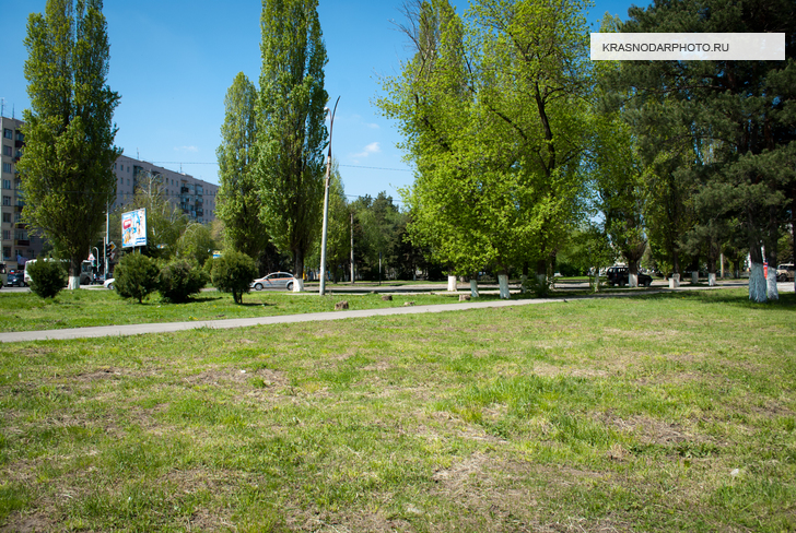 Зеленая зона на пересечении улиц Стасова и Селезнева