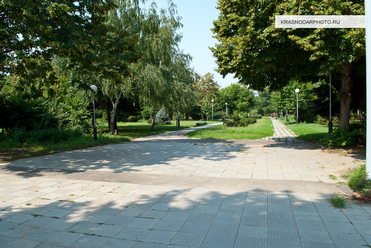 Аллея в Первомайском парке