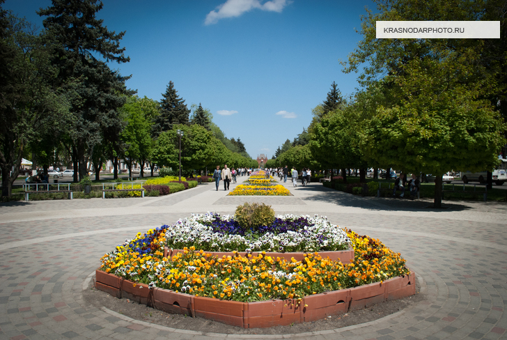 Цветочные клумбы на улице Красная