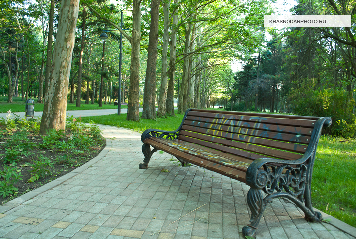 Дендрарий КубГАУ имени Косенко